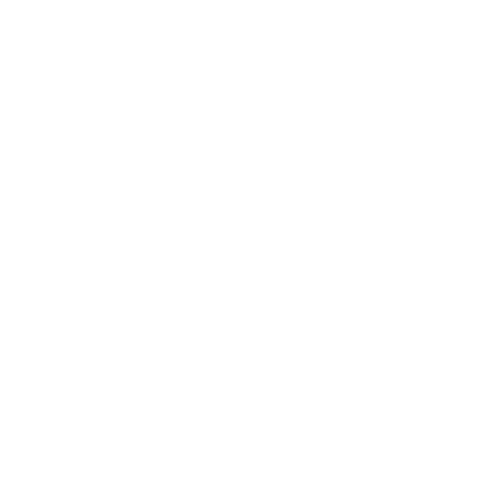 LEMIA